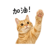 840714094