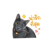 840717293