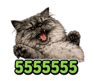 840717787