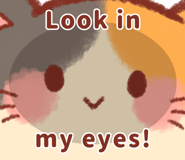 840718572