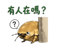 840723394
