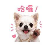 840724605