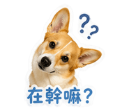 840724795