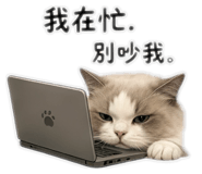 840724916