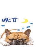 840729068