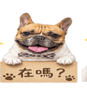 840729071