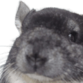 840729599