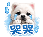 840732531