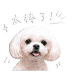 840733239