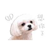 840733240