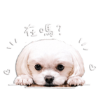 840733242