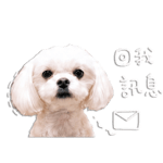 840733243