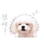 840733245