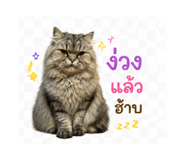 840733303