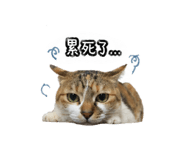 840735559