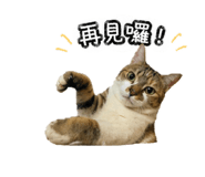 840735564