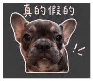 840736356