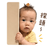 840736604