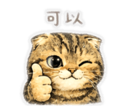 840738087