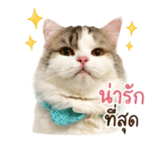 840738203