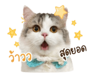 840738214