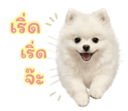 840738704