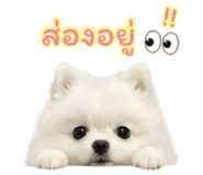 840738710