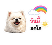 840740535