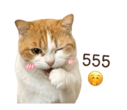 840740575