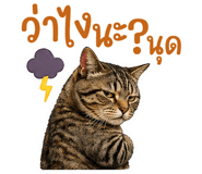 840740617