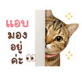 840740726