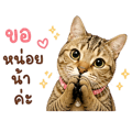 840740728