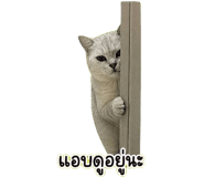 840740745