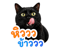 840741123