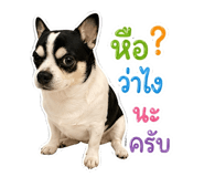 840741182