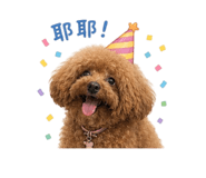 840742936