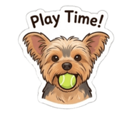 840742954