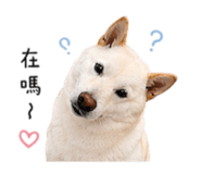 840743322