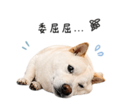 840743328