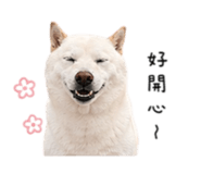 840743352