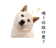 840743354