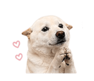 840743355