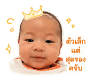 840743533