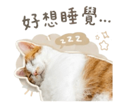 840743605