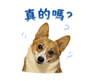 840745044