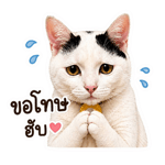 840746102