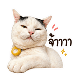 840746107