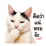 840746113