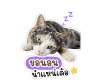 840746501