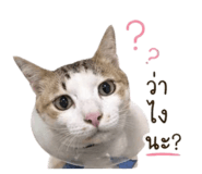 840746858